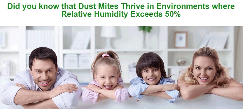 how-to-reduce-humidity-and-fungus-at-home-or-office